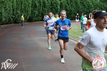 IMG_4207.jpg