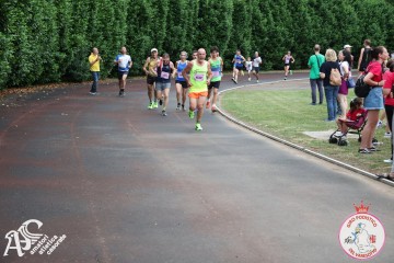IMG_4227.jpg