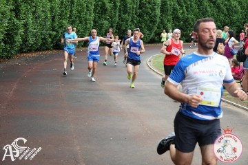 IMG_4235.jpg