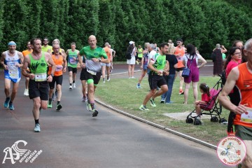 IMG_4396.jpg